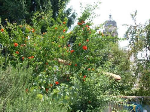 Casa Vacanze Alleantichemura Conegliano Exterior photo